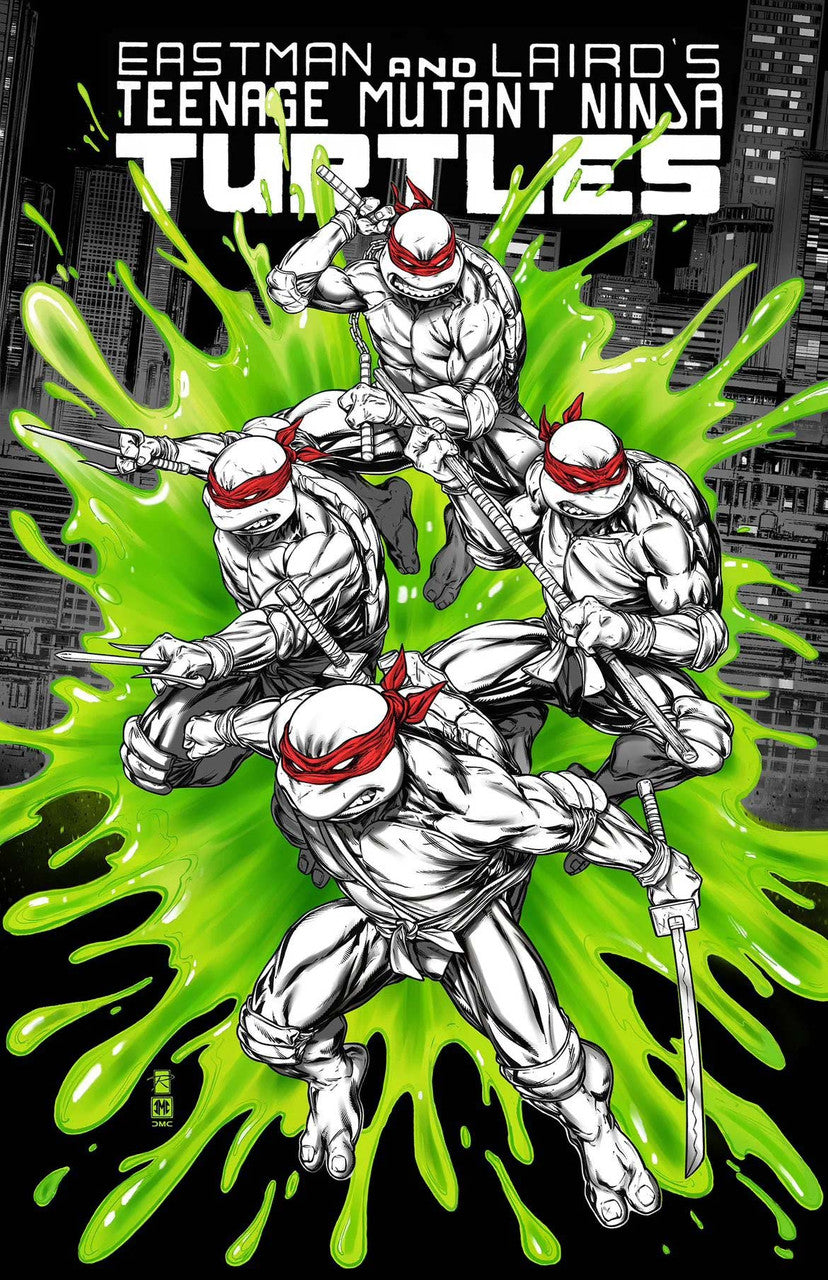 Teenage Mutant Ninja Turtles #1 (Mirage Reprint) NYCC Raymond Gay Variant