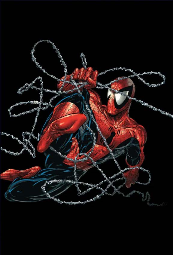 Spider-Man #1 Todd McFarlane Panini Megacon Virgin Foil