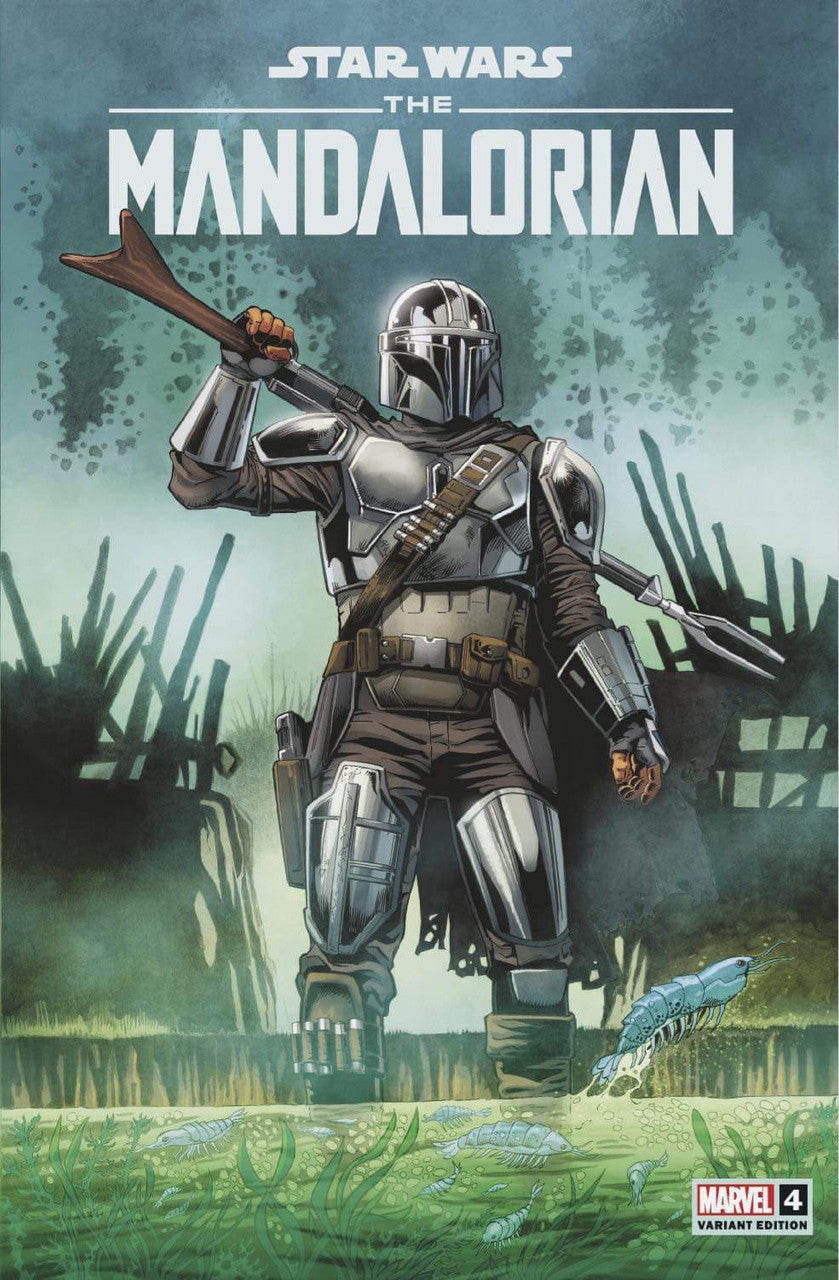 Star Wars The Mandalorian #4 Jan Duursema Trade Variant