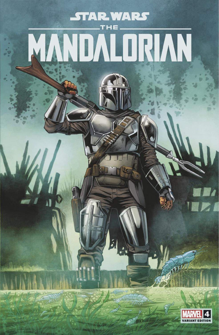 Star Wars The Mandalorian #4 Jan Duursema Variant SET