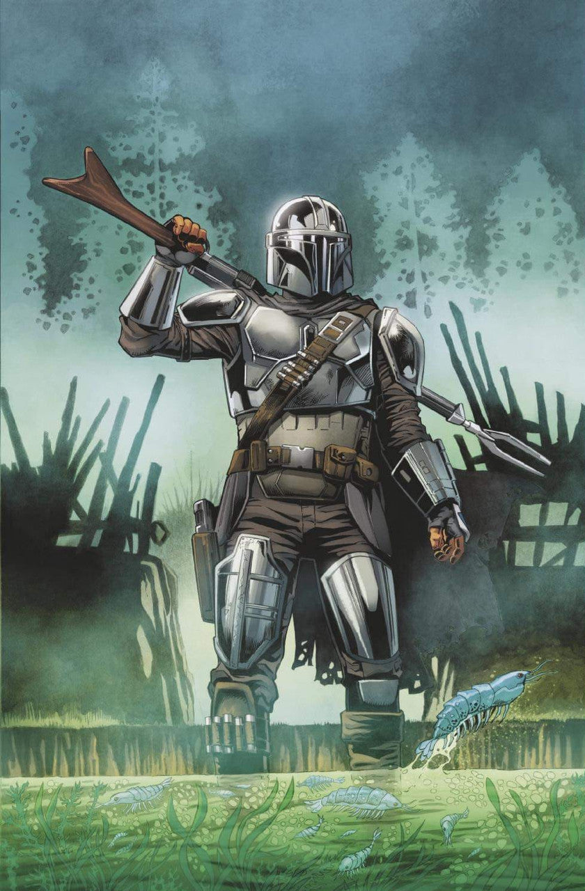 Star Wars The Mandalorian #4 Jan Duursema Variant SET