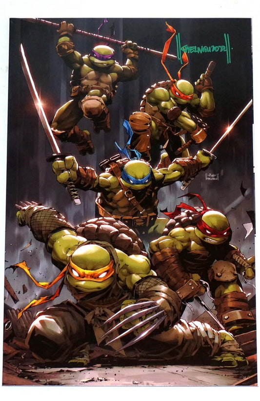 Teenage Mutant Ninja Turtles #99 Kael NGU Virgin Variant Signed